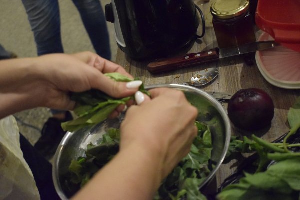 Performance “Fermentación y memoria 