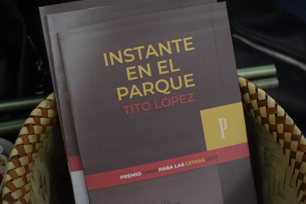 A Pura Literatura