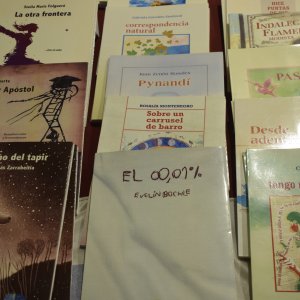 A pura Literatura