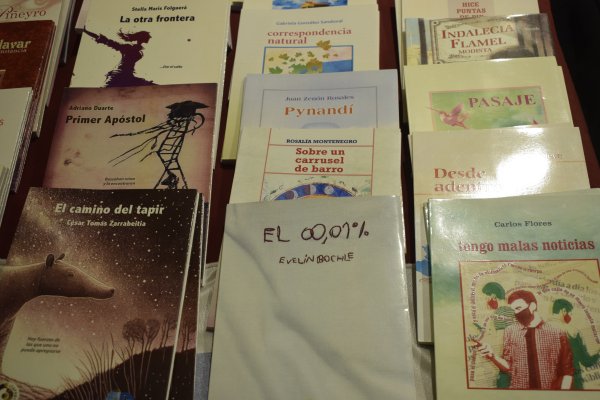 A pura Literatura