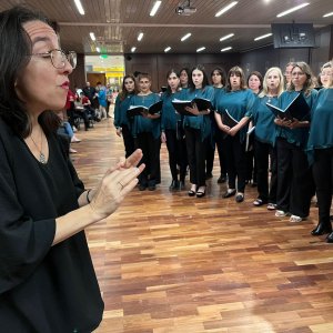 Junio Sonoro
