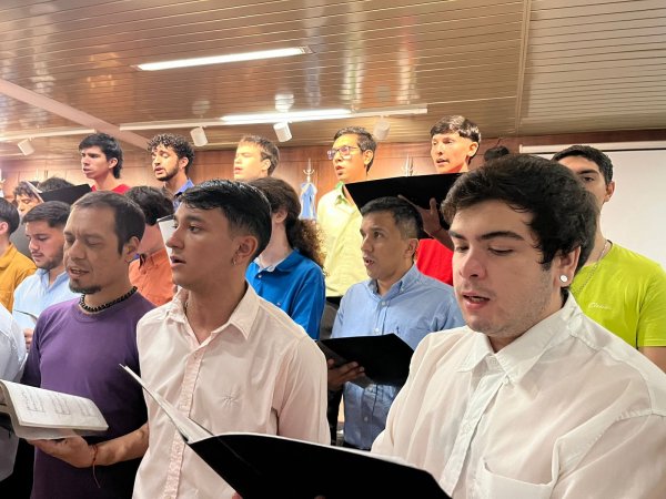Junio Sonoro