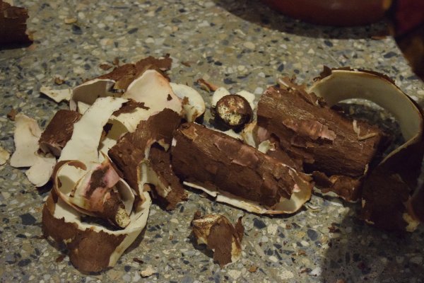 “Guiso Yopará, como aprendimos en casa”