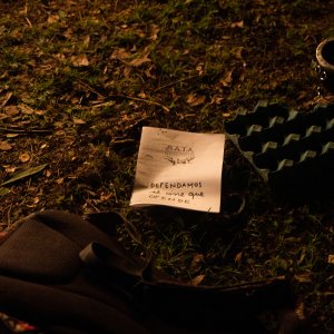 Festival PLAY video arte y cine experimental 