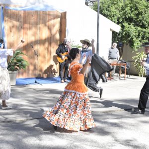 Taller de Danzas en Medicina