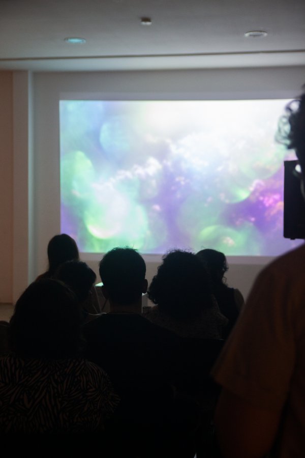 Inauguración Festival PLAY videoarte y cine experimental 