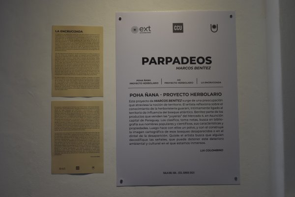 Parpadeos