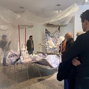 Público especialista de ArteCo