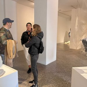 Público especialista de ArteCo