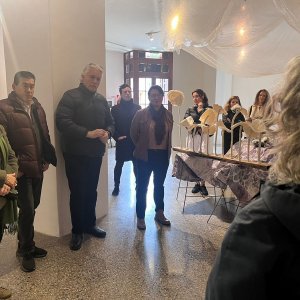 Público especialista de ArteCo