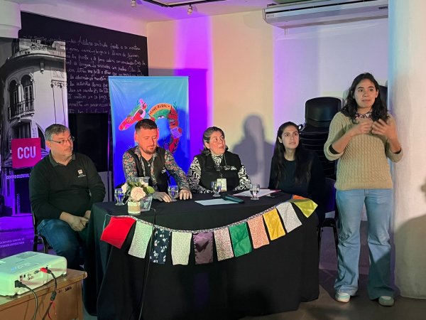 Ventana de festivales, encuentro de festivales de cine