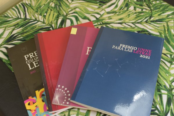 Dan a conocer los jurados que seleccionarán al Premio UNNE para las Letras 2025
