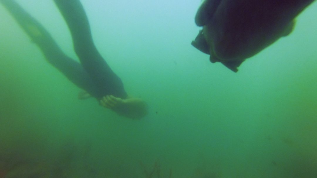 Apnea (Thales Pessoa)