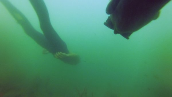 Apnea (Thales Pessoa)