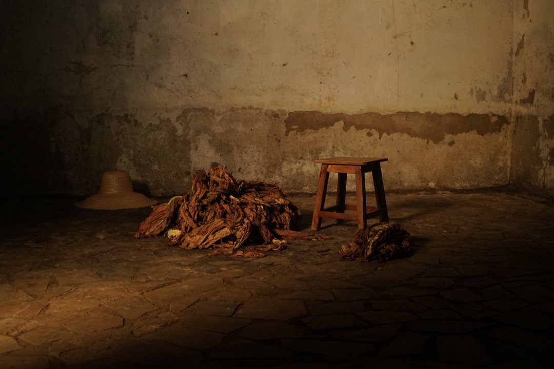 O Canto (Isa Magalhães e Izabella Vitório)