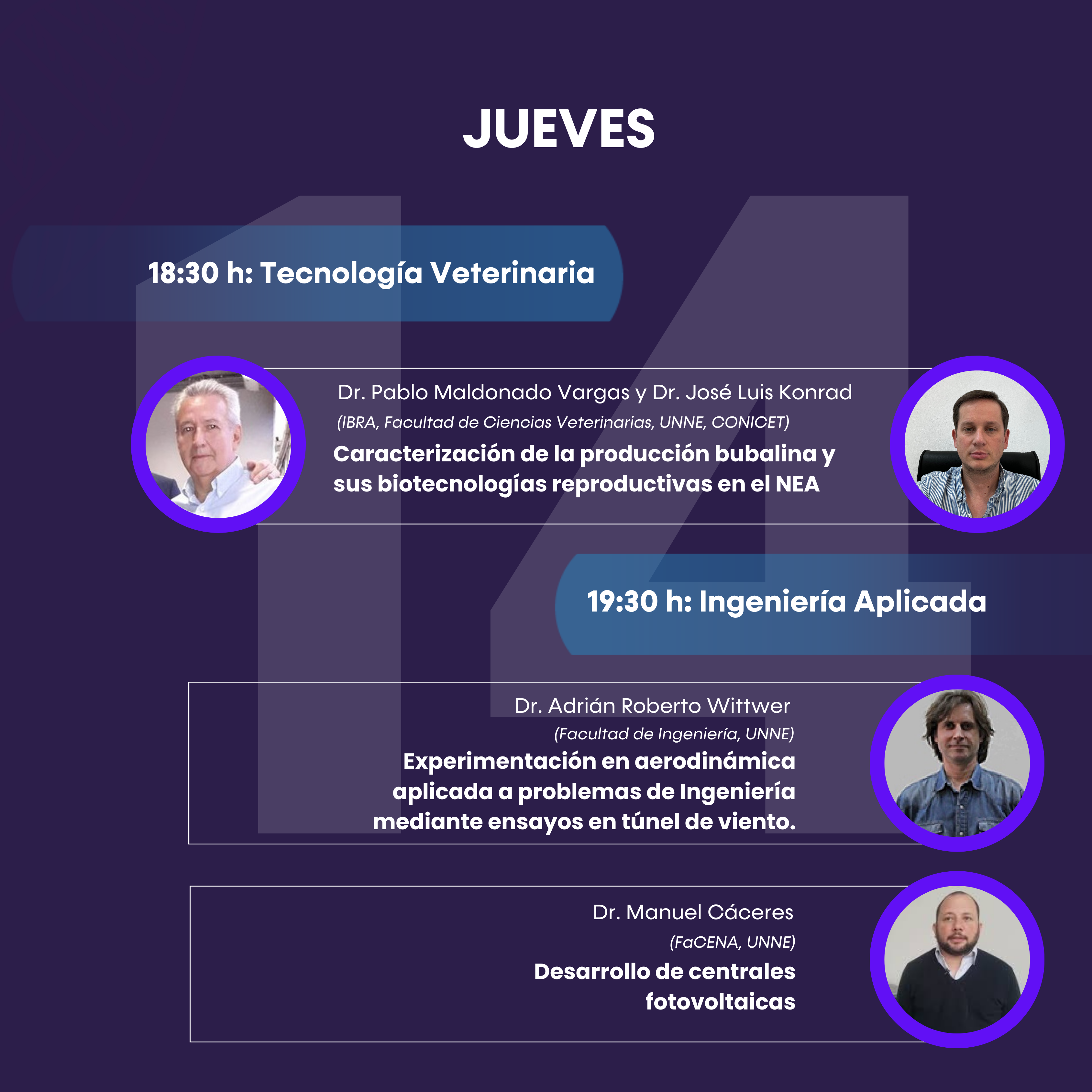 Simposio Virtual 2024 NEO/NEA Ciencia