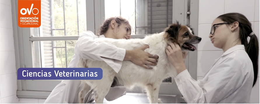 Veterinaria
