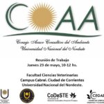 Reunión COAA - UNNE
