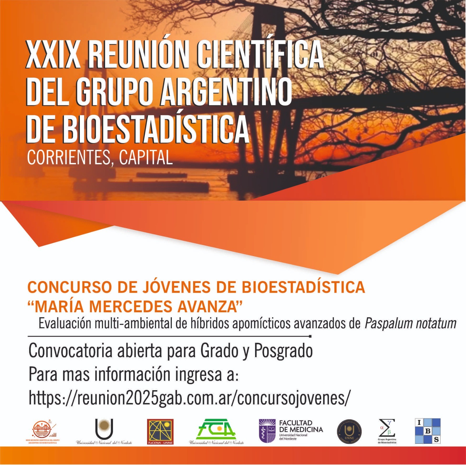 Concurso de Jóvenes de Bioestadística "María Mercedes Avanza"