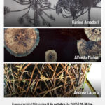 Exposición “Ensayos sobre el paisaje