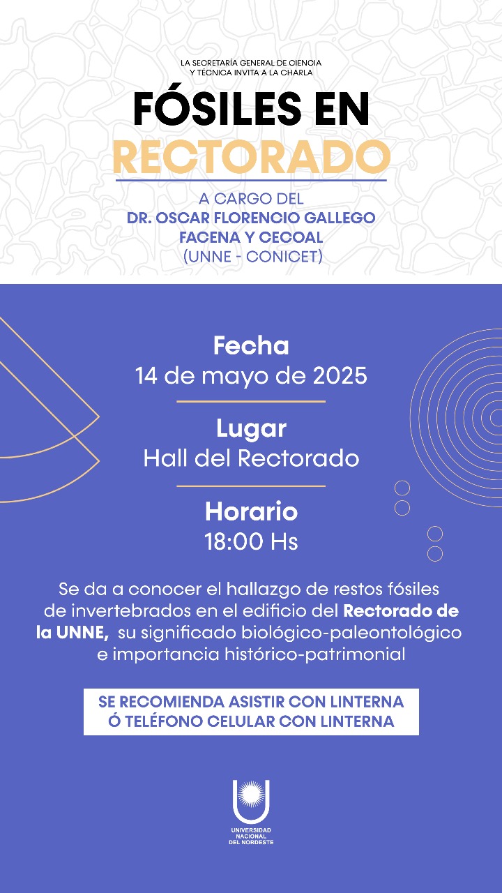Fósiles en Rectorado