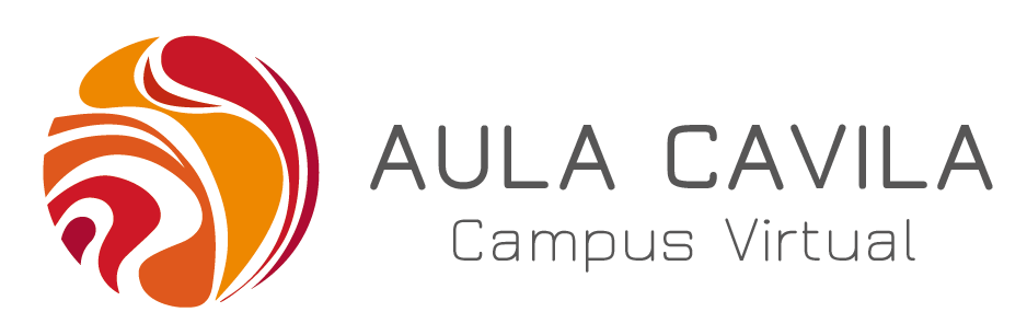 Reunión Anual del Consejo de Rectores de AULA CAVILA
