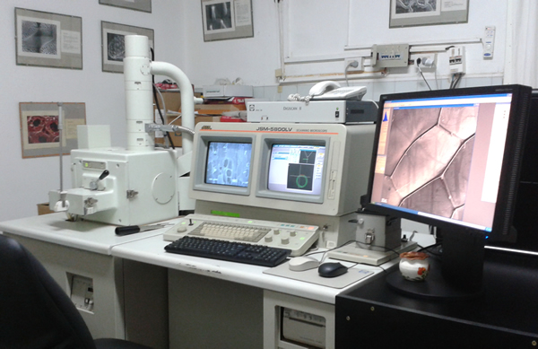 Microscopio Electrónico de Barrido y Digitalizador de imágenes